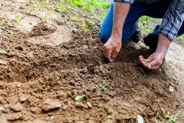 Gardening & Landscaping — Affluent-One home service